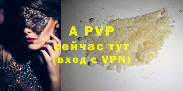 spice Аркадак