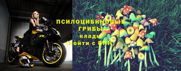 гидра Армянск