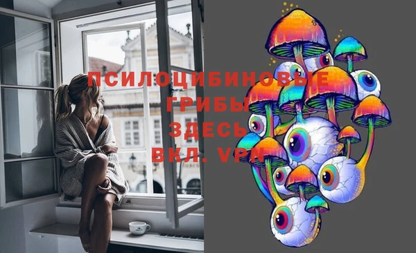 spice Аркадак