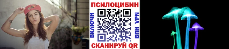 Псилоцибиновые грибы Psilocybe  купить наркотики сайты  Сорочинск 
